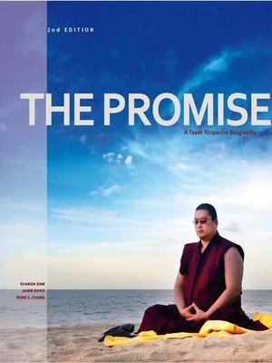 cover image of The Promise